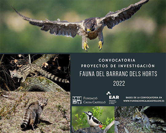 Convocatoria de proyectos de investigación fauna del Barranc dels Horts 2022