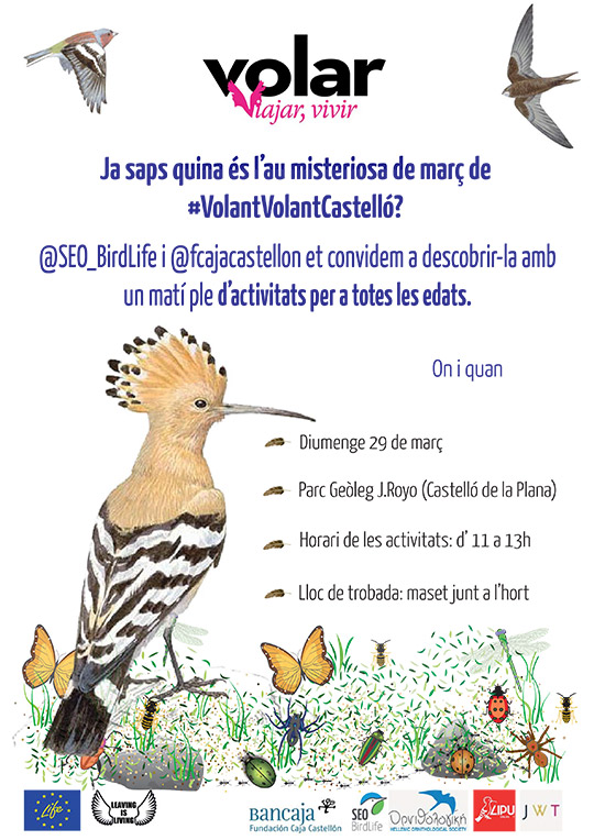 ¿Ya sabes cuál es el ave misteriosa de marzo de #VolantVolantCastellón?