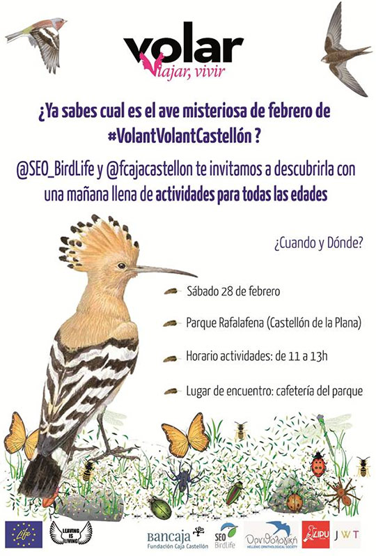 Descubre este sábado, las aves migratorias “misteriosas” de Castellón