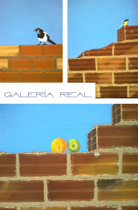 Castellón, Galería Real Castellón, Galería Real