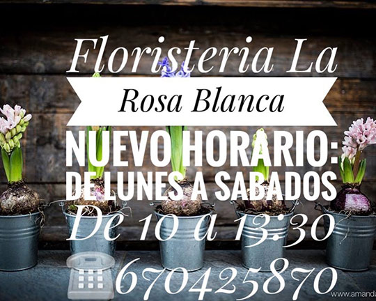 floristería La Rosa Blanca