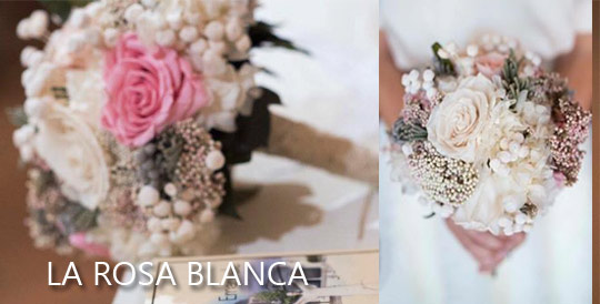 Castellón, floristería La Rosa Blanca Castellón, floristería La Rosa Blanca