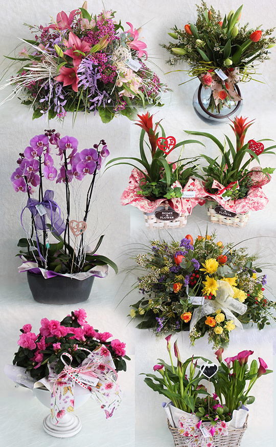 Flores para San Valentín en la floristería Los Claveles