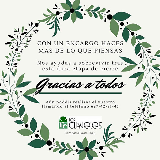 encargo de flores vivecastellon