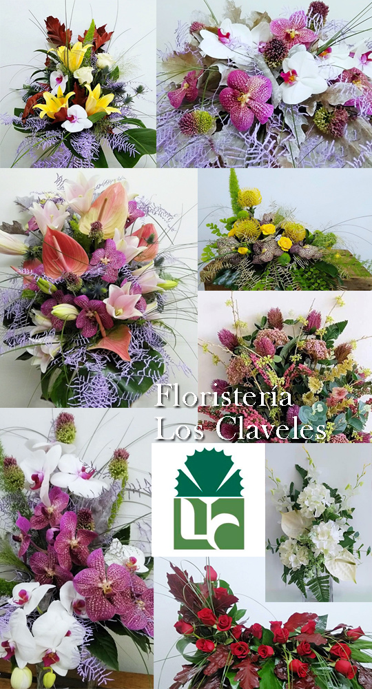 Floristería Los Claveles vivecastellon.com