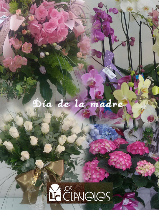 Castellón, Los Claveles floristería Castellón, Los Claveles floristería