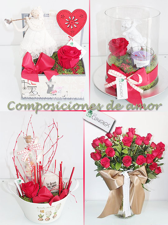 Castellón, Floristería Los Claveles Castellón, Floristería Los Claveles