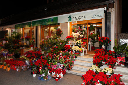 Los claveles floristeria plaza Santa Clara