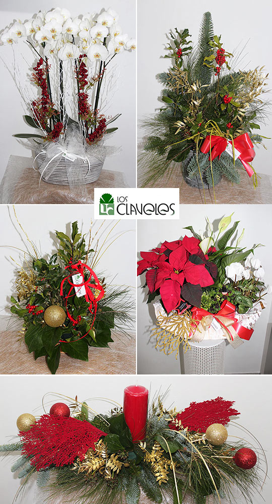 La magia de la Navidad con las flores y plantas de Los Claveles floristería La magia de la Navidad con las flores y plantas de Los Claveles floristería