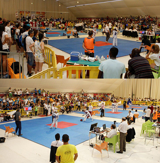 Marina d’Or acoge su tercer campeonato de España de taekwondo - Técnica 