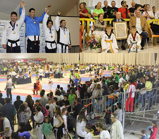 Concluye el XV Open Internacional de Taekwondo Marina d’Or