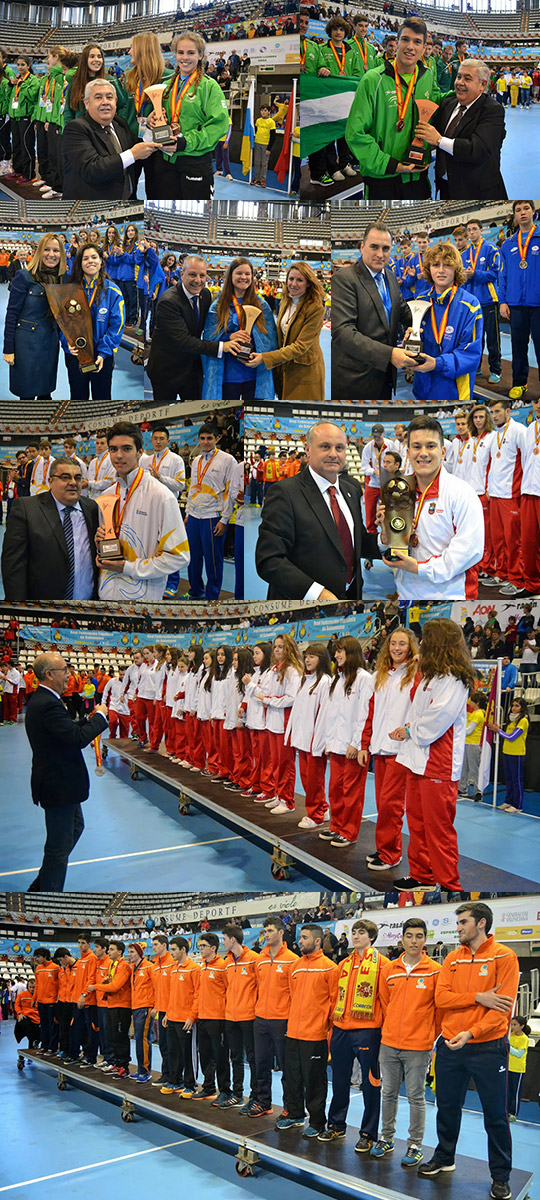 Campeonato estatal de selecciones autonómicas de balonmano Campeonato estatal de selecciones autonómicas de balonmano