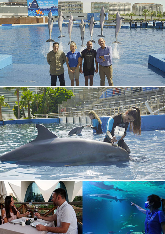 El Oceanogràfic presenta sus experiencias para este verano