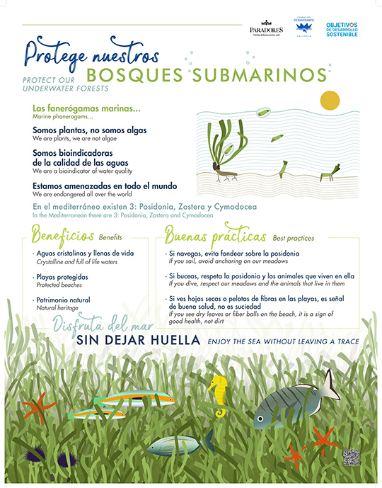 Paradores de turismo se une a las campañas de sensibilización de la Fundación Oceanogràfic Paradores de turismo se une a las campañas de sensibilización de la Fundación Oceanogràfic