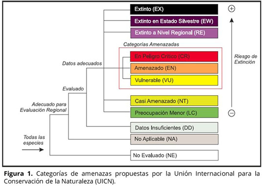 Más de la mitad de las especies del Oceanogràfic están incluidas en la Lista Roja de Especies Amenazadas