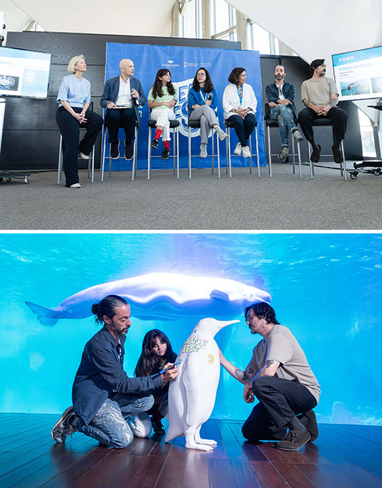 OceanFest vuelve a València con una propuesta que une arte, conservación y debates sobre los Polos