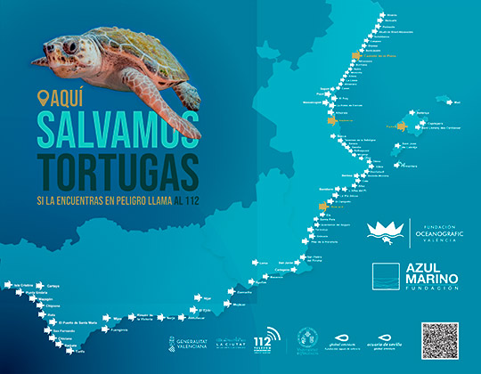Más de cien municipios costeros españoles se unen este verano para proteger tortugas marinas