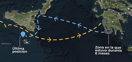 La tortuga Colomera vuelve desde Grecia por la misma ruta 