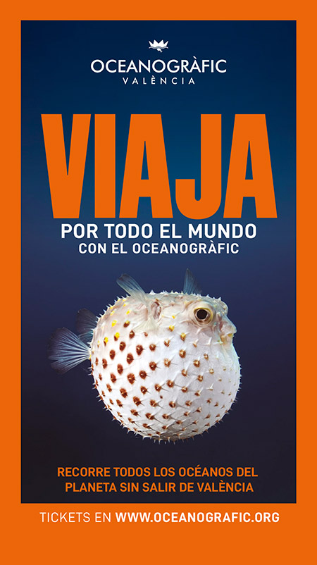 ¡Viaja por todo el mundo con el Oceanogràfic!