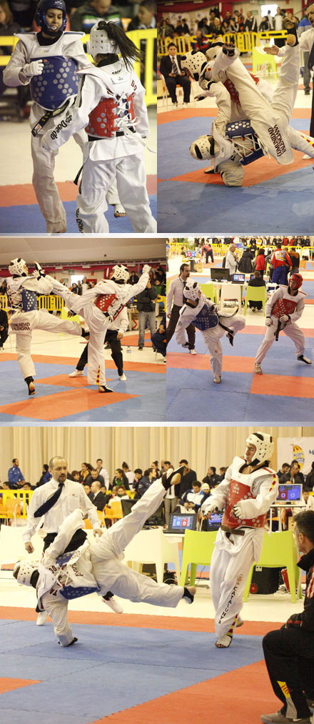 Imagenes Del Campeonato Nacional De Taekwondo En Marina D Or