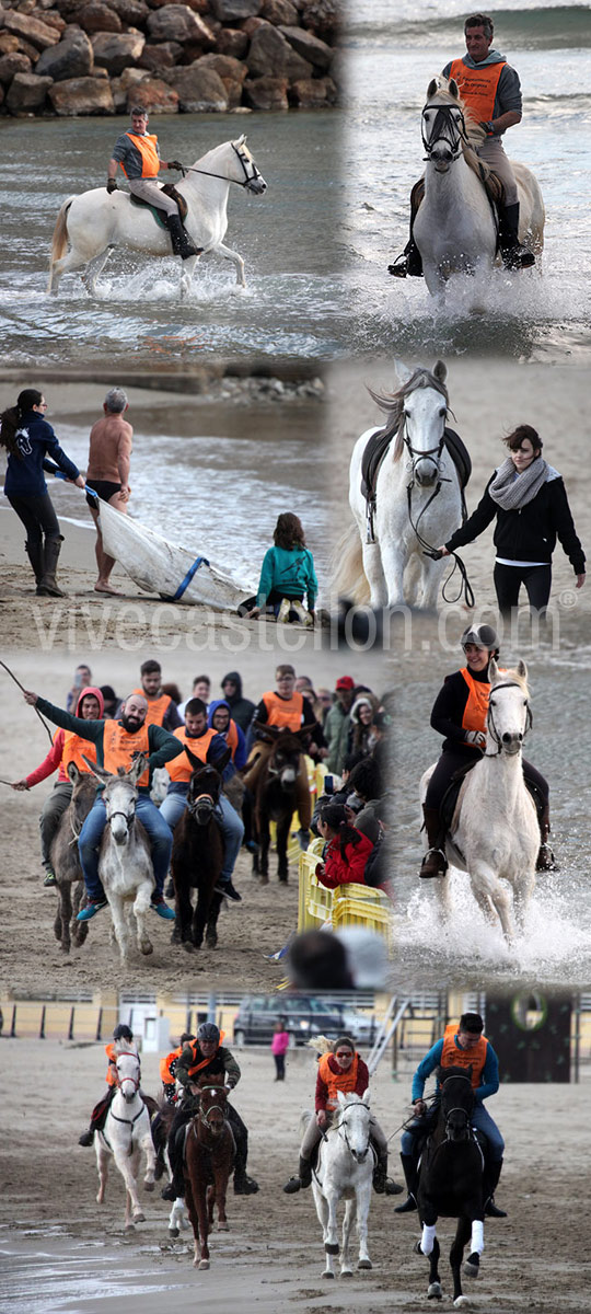 Carrera de caballos y burros en la playa de Oropesa