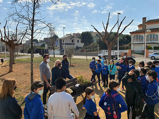 Oropesa del Mar conmemora el Día del Árbol con la plantación de 400 ejemplares en Els Quarts