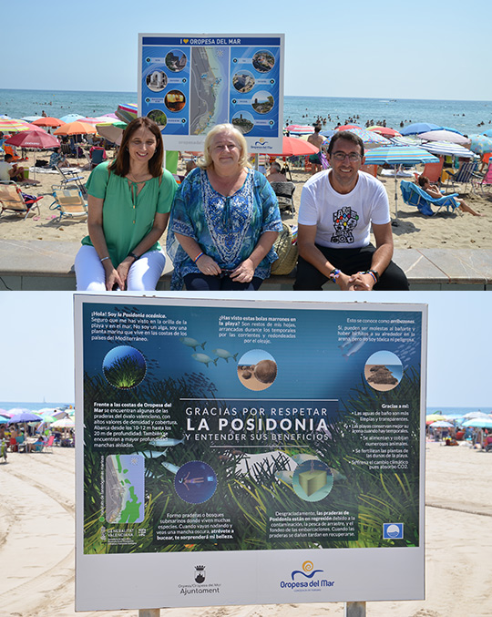 Oropesa del Mar ‘protege’ las praderas de posidonia y promociona sus recursos turísticos