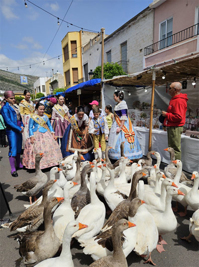 Oropesa del Mar se prepara para vivir la XXIV Trobà d’Orpesa, una de sus citas más emblemáticas