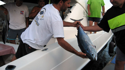 Concurso de Pesca de Pagel