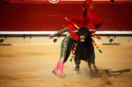 fiestas de la magdalena novillada toros