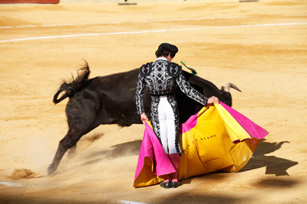 fiestas de la magdalena novillada picada toros