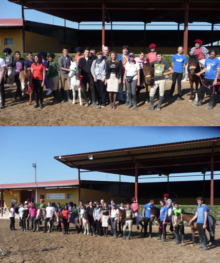 poni club castellon hipoterapia equitación