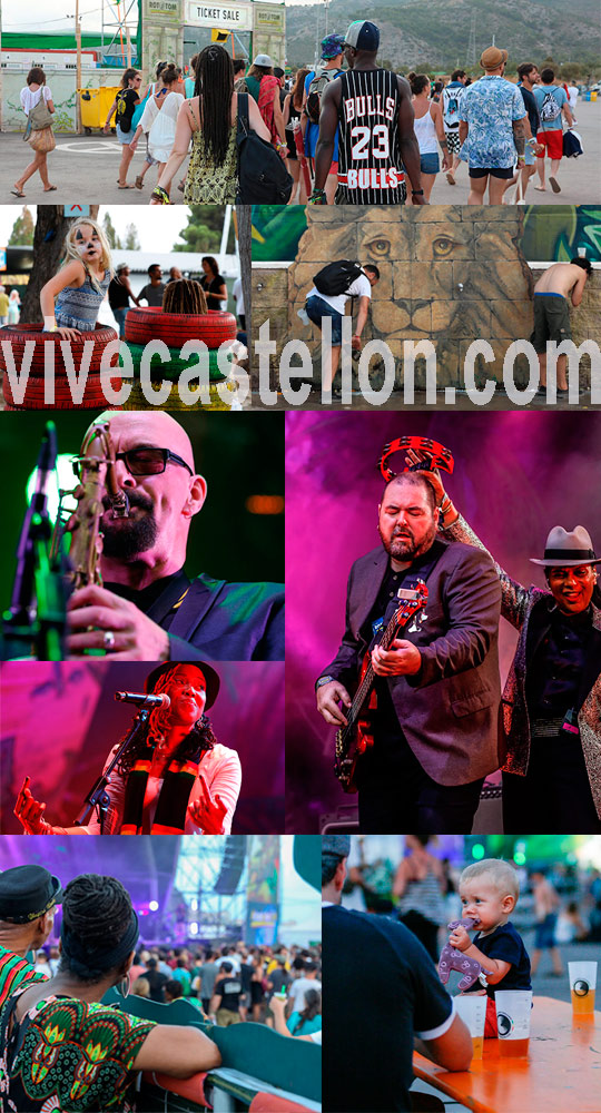 Rototom 2019