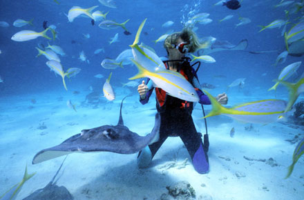 buceo en castellon swimming espai