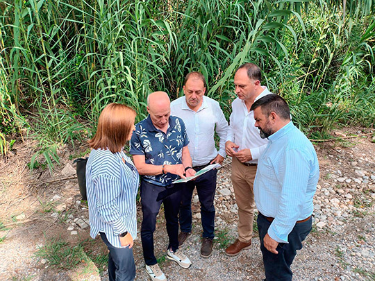 El alcalde de Toga traslada a Medio Ambiente la preocupante situación del río Mijares y pide la limpieza del cañar que invade el cauce