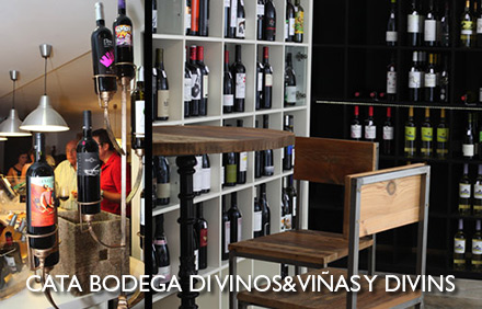 Cata bodega Di Vinos&Viñas y Divins Cata bodega Di Vinos&Viñas y Divins
