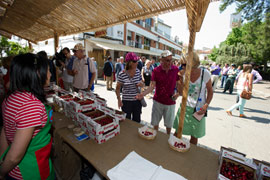 Promoción y venta de la cereza en las ferias de Caudiel y la Salzadella
