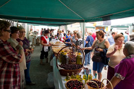 La Fira de la Cirera en la Salzadella y la Feria de la Cereza en Caudiel este fin de semana
