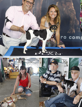 Algunas imágenes de la Exposición Nacional e Internacional Canina en Castellón