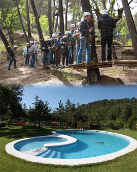 Novedades en Saltapins