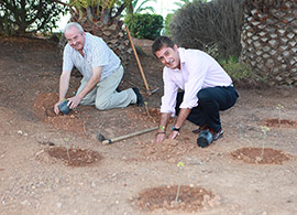 Plantación de Medicago citrina en el Jardín del Planetari de Castelló