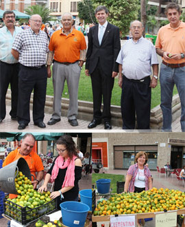 Primer domingo del mercado de la naranja en Castellón
