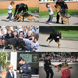 La unidad canina de la policia de Vila-real visita Laude BSV