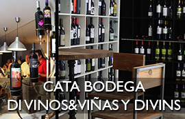 Cata bodega Di Vinos&Viñas y Divins