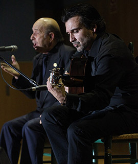 XXII Festival flamenco