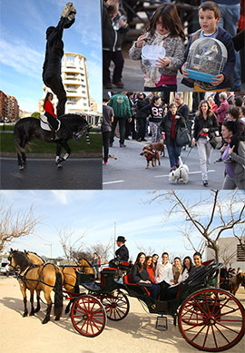 Festividad San Antonio Abad en Castellón