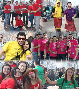 Las paellas de la UJI