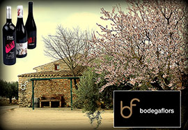 Visita la Bodega Flors en un escenario espectacular