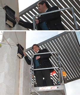 Instalación de cajas-nido para murciélagos en Castellón