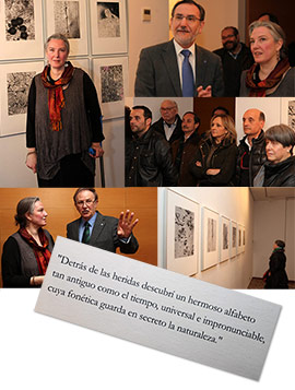 Exposición Humanas, demasiado humanas. Las heridas del Alfabeto Natural de Rossana Zaera